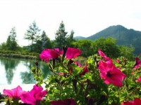 /album/fotogalerie-rakousko-i/a01-61-jpg/